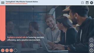 TrainingBriefs® Why Effective <mark>Teamwork</mark> Matters